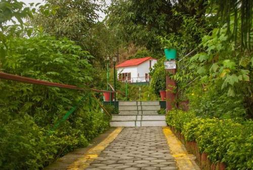 Blue Pine Resort – Photos 5