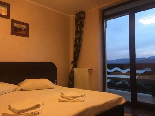 a bedroom with a bed and a window with a view at Pensiunea Lostrita in Buhalniţa