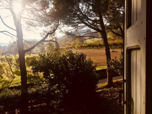a view of a field from a window of a house at Il Cardello Locanda in Casola Valsenio