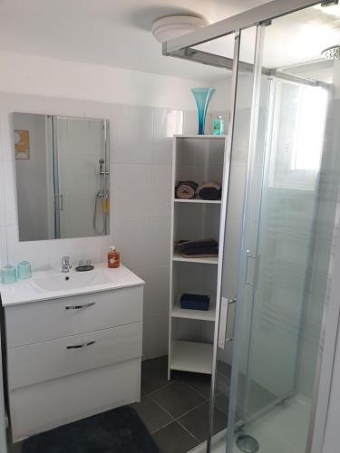 une salle de bain blanche avec une douche et un lavabo dans l'établissement O'CEPAGES, à Ambonnay