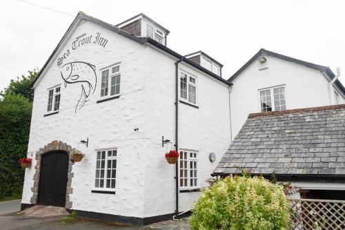 un edificio blanco con un pavo real pintado en él en The Sea Trout Inn en Totnes