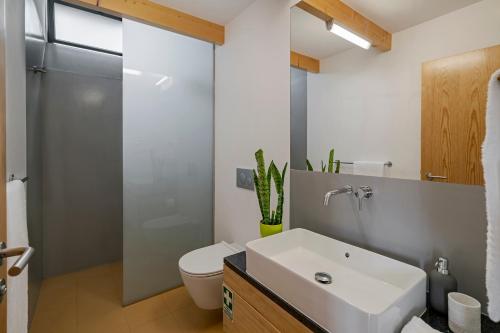 une salle de bain avec un lavabo, des toilettes et une douche dans l'établissement OurMadeira - Quinta Inácia, countryside escape, à Calheta