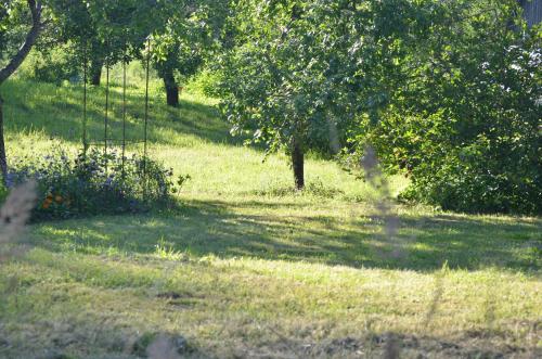 a field of grass with trees and bushes at Lauku namiņš - Country cottage in Vecpiebalga
