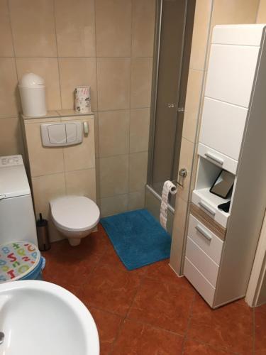 2-Zimmer-Wohnung in Stralsunds Altstadt في شترالزوند: حمام صغير مع مرحاض ومغسلة