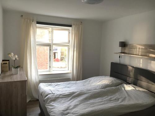 1 dormitorio con cama y ventana en 2-Zimmer-Wohnung in Stralsunds Altstadt en Stralsund