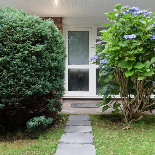 a house with a window and a dog in the window at Gorgeous ground floor apartment + free parking in Manchester