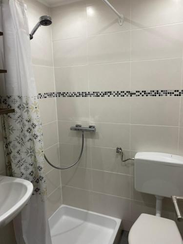 a bathroom with a shower and a toilet and a sink at Ossiach Apartment 1 in Heiligen Gestade