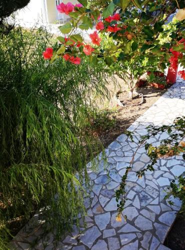 a stone walkway with red and white flowers on it at Anestis Studios in Agios Georgios
