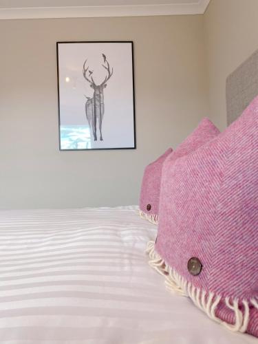 a bed with pink pillows and a picture on the wall at Cairngorm Guest House in Aviemore