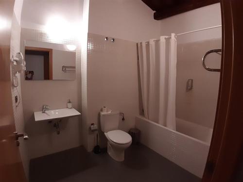 a bathroom with a toilet and a sink and a shower at Vivienda Turistica La Catedral in Santo Domingo de la Calzada