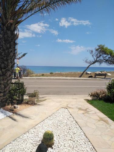 a palm tree and a street with a view of the ocean at Villa Orsola in Villaputzu