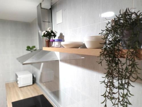 a kitchen with a counter with plants on it at Apartamentos "EL BARCO" in La Guardia