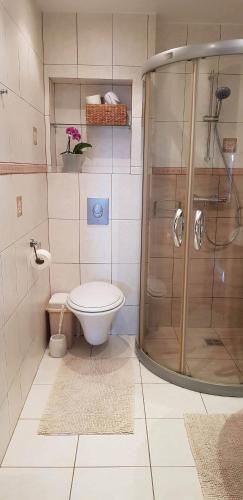 a bathroom with a shower and a toilet at Kambarių nuoma ant marių kranto in Juodkrantė