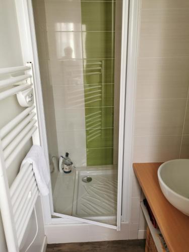 une salle de bain avec douche et lavabo dans l'établissement Studio des Stuarts, à Dol-de-Bretagne