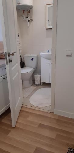 a white bathroom with a toilet and a sink at Butas Vytauto 7-4 in Rokiškis