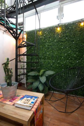 Сад в Casa Índigo CDMX