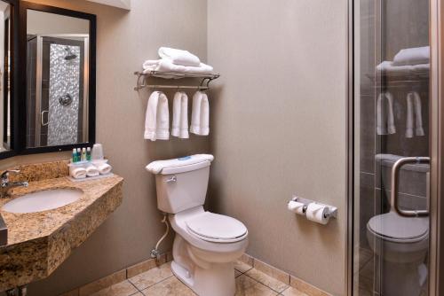 Bagno di Holiday Inn Express & Suites Topeka West I-70 Wanamaker by IHG