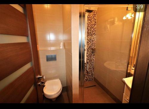 a small bathroom with a toilet and a shower at Smart studio sibiu in Sibiu