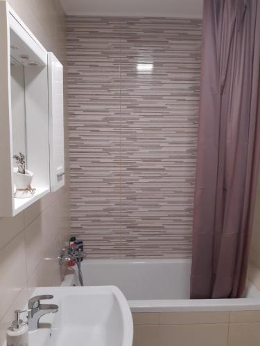 a bathroom with a shower with a sink and a tub at Elena apartmani in Tuzla