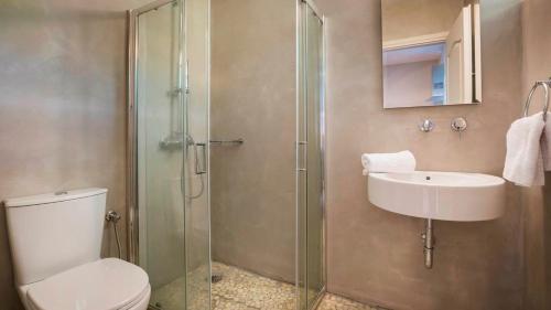 a bathroom with a shower and a toilet and a sink at Beachfront Suites Lourdas in Lourdata