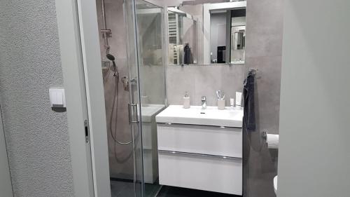 W łazience znajduje się szklana kabina prysznicowa i umywalka. w obiekcie Apartament Marzenie 14 - Opole w mieście Opole