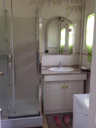 une salle de bain avec un lavabo et une douche avec un miroir dans l'établissement La halte des grands crus, à Couchey