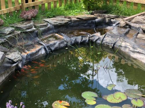 a koi pond in a garden with lilies at HOME SWEET HOME in the green lung of Brussels in Hoeilaart