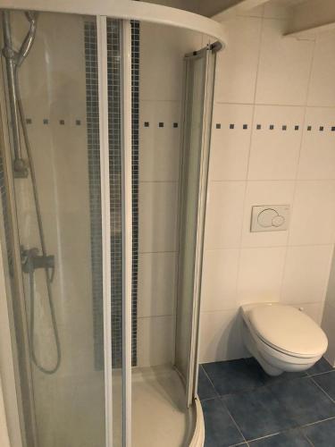 a bathroom with a shower and a toilet at HOME SWEET HOME in the green lung of Brussels in Hoeilaart