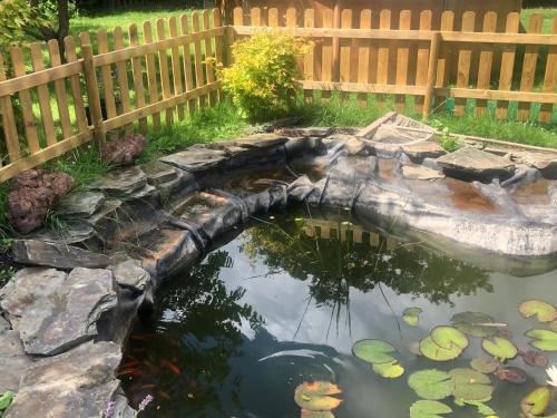 a koi pond in a backyard with a wooden fence at HOME SWEET HOME in the green lung of Brussels in Hoeilaart
