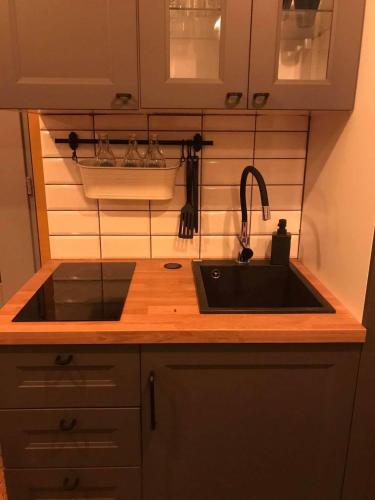 a kitchen with a sink and a counter top at Szklana Stodoła in Przywidz