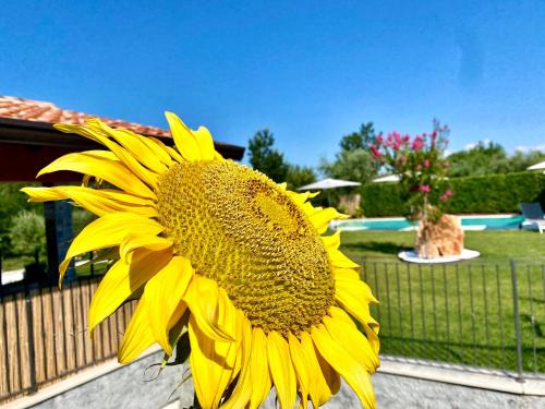 バルドリーノにあるVilla Poggio Bardolinoのギャラリーの写真