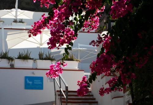 a bunch of pink flowers in white pots on a bench at Map Enjoy Rooms in San Vito lo Capo