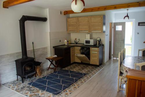 a kitchen with a wood stove in a room at Domek letniskowy in Poddąbie