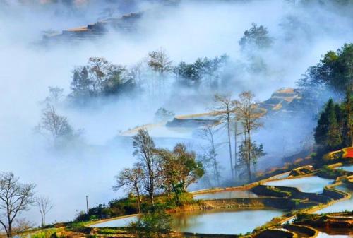 Gallery image of Beyond The Cloud in Yuanyang