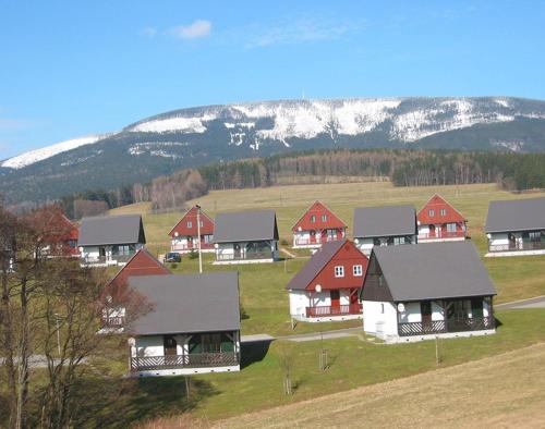 a group of houses with red roofs in a field at vila krkonoše in Cerny Dul