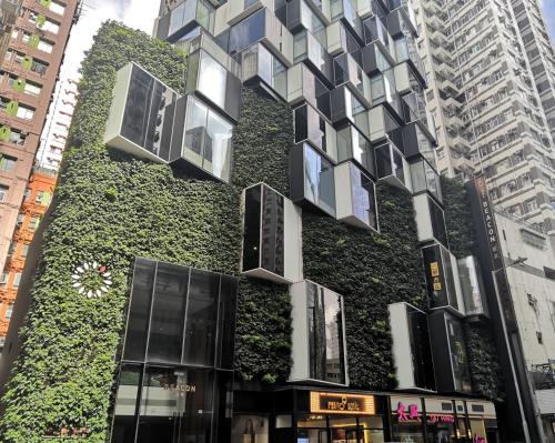 香港的住宿－碧薈，一座带窗户的绿色墙壁建筑