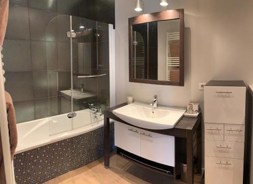 ein Bad mit einem Waschbecken, einer Dusche und einem Spiegel in der Unterkunft Clos des Jacobins (Grand Cru Classé) in Saint-Émilion
