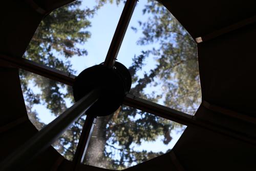 a close up of a window with trees in the background at Palapinė medyje in Barkellai