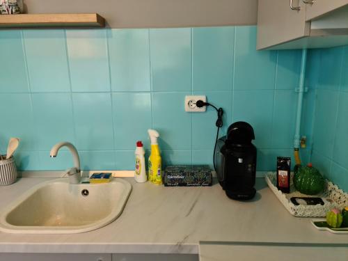 Kuchyň nebo kuchyňský kout v ubytování Zorilor Cactus Apartment