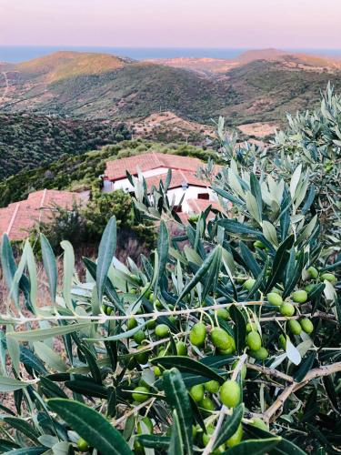 Φυσικό τοπίο κοντά σε αυτός ο ξενώνας