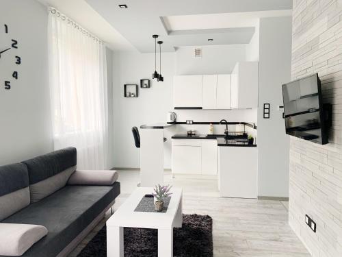 Μια τηλεόραση ή/και κέντρο ψυχαγωγίας στο Apartament Chyba Śnisz Łańcut