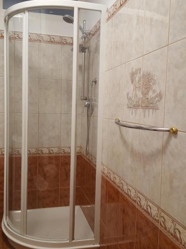 a shower with a glass door in a bathroom at Harmony apartment in Rijeka