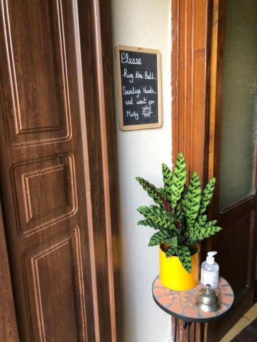 a plant sitting on a table next to a door at B&B Villa le Ortensie in Faggeto Lario 