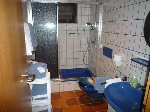 a bathroom with a blue toilet and a shower at Appartement-Landhaus-Kruse in Meschede