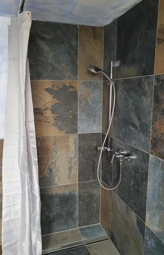 a shower in a bathroom with a tiled wall at Ferienwohnung Thöne in Horstmar