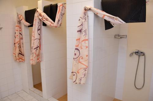 派克波特斯耐兹库Bouda Racek的带淋浴和浴帘的浴室