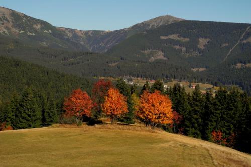 Billede fra billedgalleriet på Bouda Racek i Pec pod Sněžkou