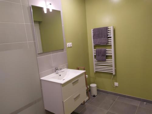 a bathroom with a white sink and a mirror at Studio Les chambres de la source - Milouin in Sancourt