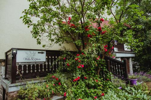 a fence with red flowers and a tree at Willa Elżbieta - komfortowy wypoczynek, znakomite recenzje Gości in Karpacz