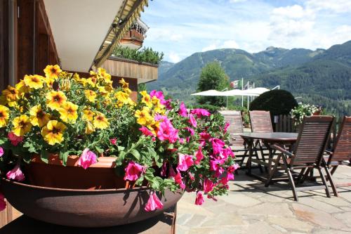 Park Hotel Bellacosta – Photos 3